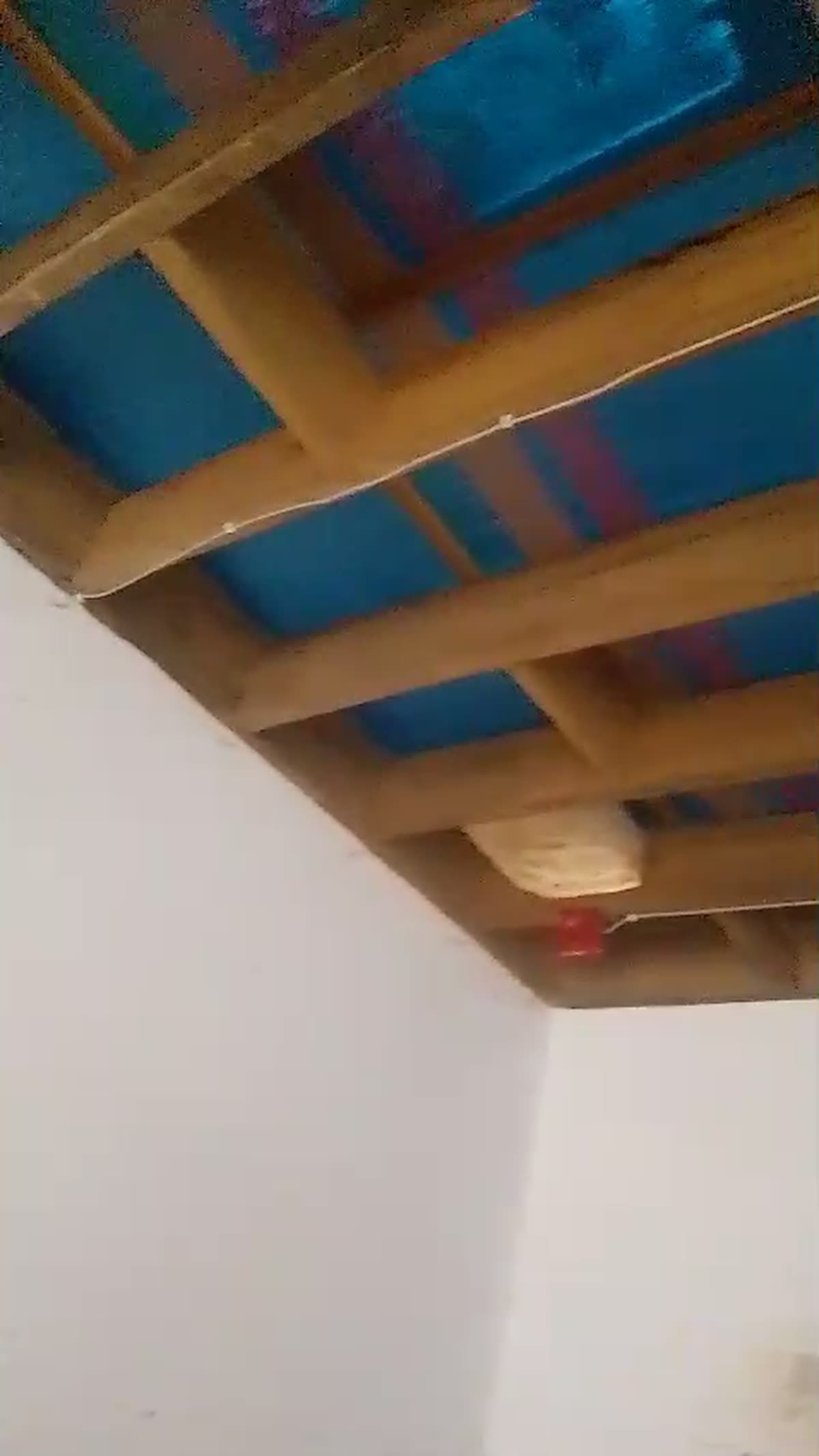 Plafon papan sirip di dalam rumah walet, tempat walet menempelkan sarangnya